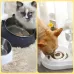 Kedi ve Köpek Mama ve Su Kabı Çelik Taslı Su Doldurma Özellikli SİYAH