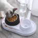 Kedi ve Köpek Mama ve Su Kabı Çelik Taslı Su Doldurma Özellikli SİYAH
