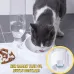Kedi ve Köpek Mama ve Su Kabı Çelik Taslı Su Doldurma Özellikli MAVİ