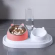 Kedi ve Köpek Mama ve Su Kabı Çelik Taslı Su Doldurma Özellikli PEMBE