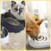 Kedi ve Köpek Mama ve Su Kabı Çelik Taslı Su Doldurma Özellikli PEMBE