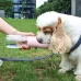 Taşınabilir Kedi Köpek Mama Ve Su Kabı Şişesi Seyahat Gezi Ve Park Yürüyüş İçin 2'si 1 Arada